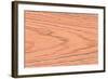 Wood Texture for Pattern and Background-joytasa-Framed Photographic Print