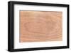 Wood Texture for Pattern and Background-joytasa-Framed Photographic Print