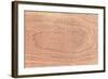 Wood Texture for Pattern and Background-joytasa-Framed Photographic Print