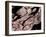 Wood Texture on Tree in the Mountains of Lazio Italy-null-Framed Premium Photographic Print