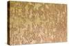 Wood Texture-pansadesign-Stretched Canvas