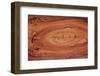 Wood Texture-amenic181-Framed Photographic Print