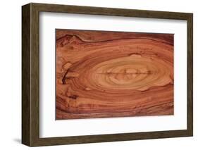 Wood Texture-amenic181-Framed Photographic Print