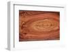 Wood Texture-amenic181-Framed Photographic Print