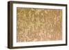 Wood Texture-pansadesign-Framed Photographic Print