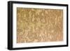 Wood Texture-pansadesign-Framed Photographic Print