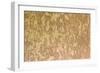 Wood Texture-pansadesign-Framed Photographic Print