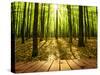 Wood Textured Backgrounds in a Room Interior on the Autumn Forest Backgrounds-Kalina Vova-Stretched Canvas