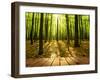 Wood Textured Backgrounds in a Room Interior on the Autumn Forest Backgrounds-Kalina Vova-Framed Photographic Print