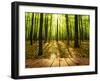 Wood Textured Backgrounds in a Room Interior on the Autumn Forest Backgrounds-Kalina Vova-Framed Photographic Print