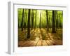 Wood Textured Backgrounds in a Room Interior on the Autumn Forest Backgrounds-Kalina Vova-Framed Photographic Print