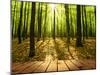 Wood Textured Backgrounds in a Room Interior on the Autumn Forest Backgrounds-Kalina Vova-Mounted Photographic Print