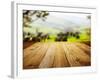 Wood Textured Backgrounds on the Tuscany Landscape-ZoomTeam-Framed Photographic Print