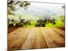 Wood Textured Backgrounds on the Tuscany Landscape-ZoomTeam-Mounted Photographic Print