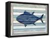 Wood Tuna, 2024-Tim Ashwood-Framed Stretched Canvas