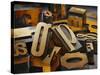 Wood Types-Martin Paul-Stretched Canvas