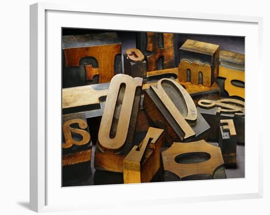 Wood Types-Martin Paul-Framed Photographic Print