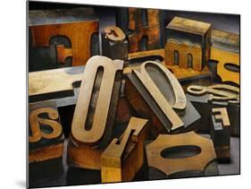 Wood Types-Martin Paul-Mounted Photographic Print