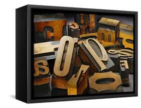Wood Types-Martin Paul-Framed Stretched Canvas