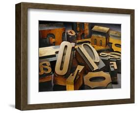 Wood Types-Martin Paul-Framed Photographic Print