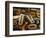 Wood Types-Martin Paul-Framed Photographic Print