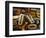 Wood Types-Martin Paul-Framed Photographic Print