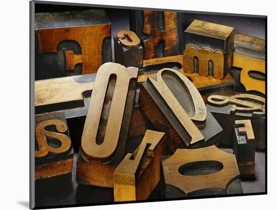 Wood Types-Martin Paul-Mounted Photographic Print