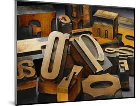 Wood Types-Martin Paul-Mounted Photographic Print