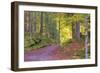 Wood Walk Painting-Cora Niele-Framed Giclee Print