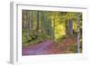 Wood Walk Painting-Cora Niele-Framed Giclee Print