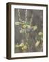 Wood warbler taking off flowering willow, Finland-Jussi Murtosaari-Framed Photographic Print