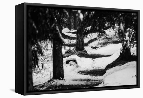 Wood, way, trees-Jule Leibnitz-Framed Stretched Canvas