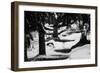 Wood, way, trees-Jule Leibnitz-Framed Photographic Print