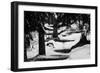 Wood, way, trees-Jule Leibnitz-Framed Photographic Print