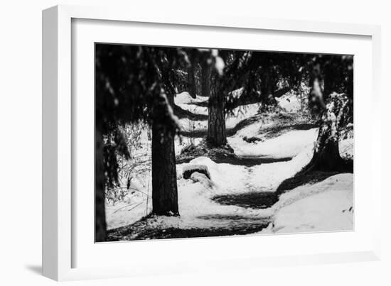 Wood, way, trees-Jule Leibnitz-Framed Photographic Print