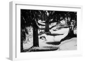 Wood, way, trees-Jule Leibnitz-Framed Photographic Print