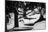 Wood, way, trees-Jule Leibnitz-Mounted Photographic Print