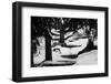 Wood, way, trees-Jule Leibnitz-Framed Photographic Print