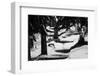 Wood, way, trees-Jule Leibnitz-Framed Photographic Print