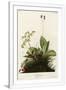 Gramercy White