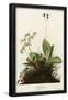 Essential Black