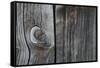 Wood-null-Framed Stretched Canvas