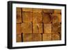 Wood-null-Framed Photographic Print