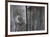 Wood-null-Framed Photographic Print
