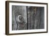 Wood-null-Framed Photographic Print