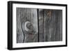 Wood-null-Framed Photographic Print