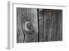 Wood-null-Framed Photographic Print