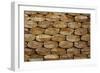 Wood-null-Framed Photographic Print