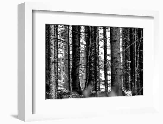 Wood-Jule Leibnitz-Framed Photographic Print