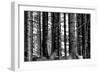 Wood-Jule Leibnitz-Framed Premium Photographic Print